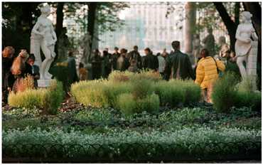 Saint-Petersburg. Summer Garden