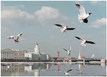 Saint-Petersburg. The Academy of Science