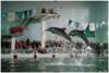 Dolphinarium