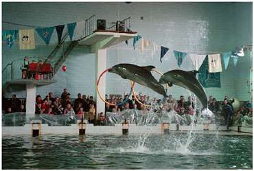 Saint-Petersburg. Dolphinarium