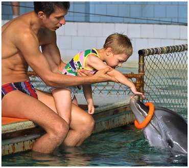 Saint-Petersburg. Dolphinarium