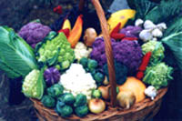 City competition on the best realization of a harvest holiday.