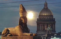 Petersburg sphynxes again have appeared in all their beauty