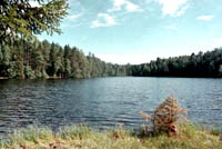 International festival of ecological films 