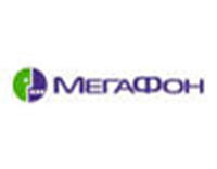 MegaFon will not enter international finance markets before 2004