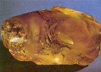 Kaliningrad presents an emblem to the Amber Chamber