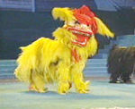 Dancing lion, traditional performance of the Chinese circus