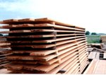 Sawmill to be constructed in Leningrad Region