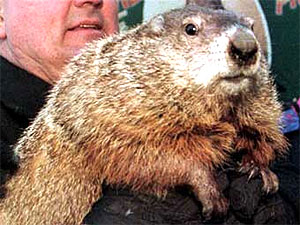 Marmot's Day