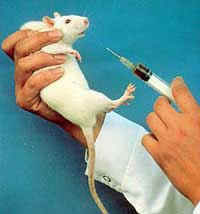 animal_testing