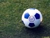 ball