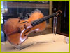 violin