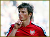 Arshavin voted best in Russia and CIS in 2009