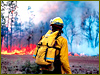 10% of Italian tourists cancel trips to Russia because of fires