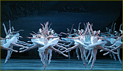 Mariinsky,s ballet option