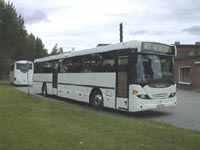 Scania buses